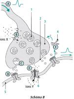 post-52517-0-12790800-1295958497_thumb.j