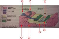 post-24224-0-67455700-1301476157_thumb.j