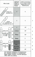 post-50533-1271778067,4071_thumb.png