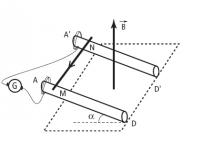 post-49263-0-34703400-1304320203_thumb.j