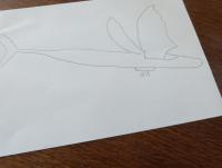 post-75881-0-54075800-1432710889_thumb.j