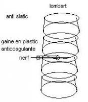 post-50694-082450700 1276506769_thumb.jp