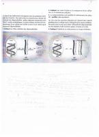 post-52252-0-24382100-1290347826_thumb.j