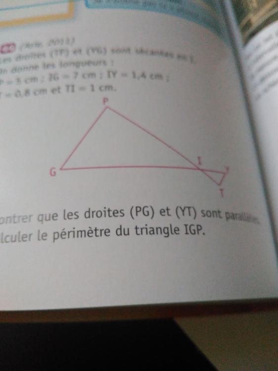 1444667611621-212080124.jpg