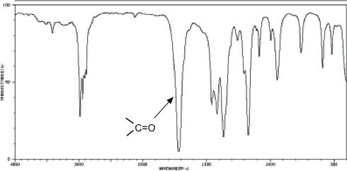 3.thumb.jpeg.92d6ec12a8f56ac7da882bd9ac0