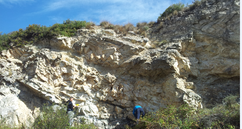 4.thumb.PNG.9473156d6eb53260f4833beecae0