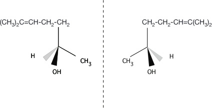 2.jpeg.bf17fbcc9c1a66e21f172839c4569747.