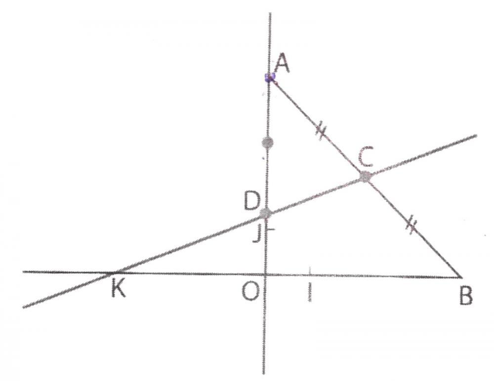 image.jpg