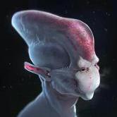 Test666