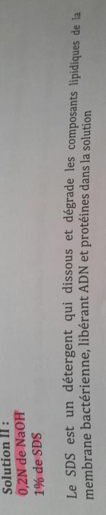 2016-10-26 13.00.28.jpg