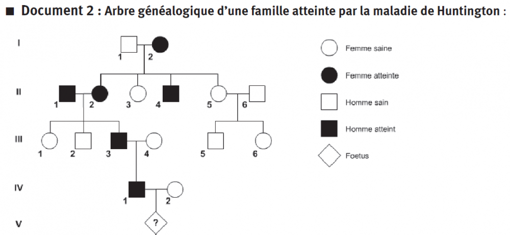 document2.png