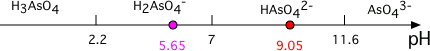 1.jpeg