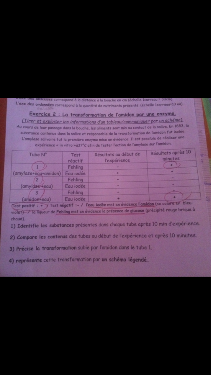 1A4F479F-5683-4ED9-8CD5-13D11313E703.png