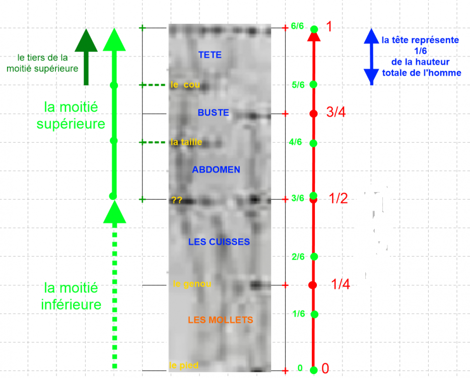 5a997c44bb767_EBhomme01.thumb.png.13dcca1ee2de64b8c5d1ff37a008d22f.png