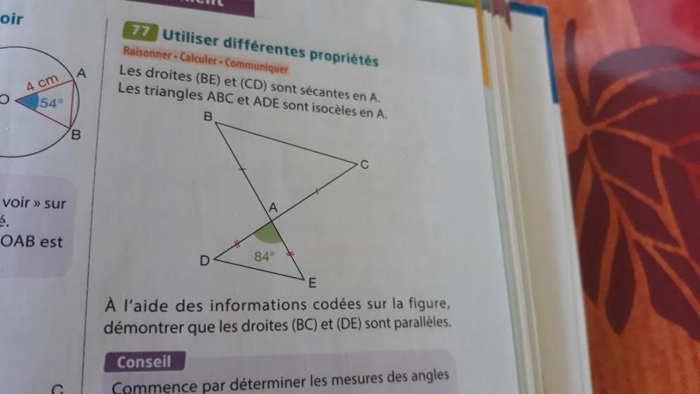 403DACC2-3F19-45D6-841D-1E61D05CAFC7.jpeg