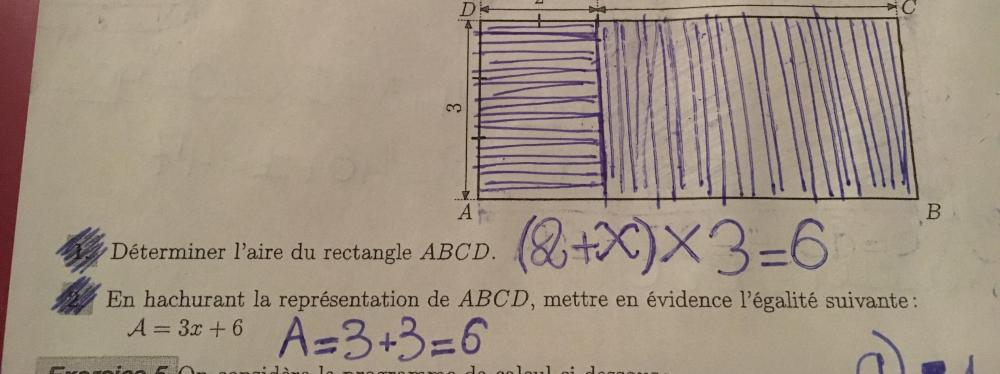 B1B115F4-8E7B-4C5D-A976-9EC64AF37B87.jpeg
