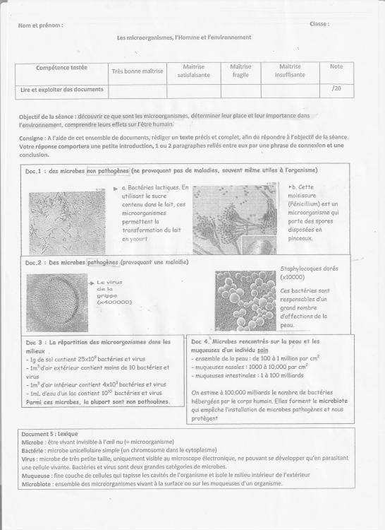 SVT microbes 001.jpg