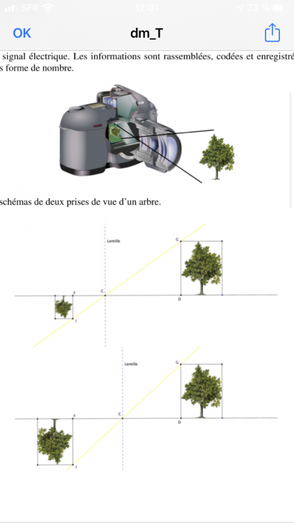 D7A3CE99-362F-46BA-8282-33FF9BBFAAA6.png