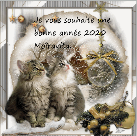 image.png.12cde2358865fbcfce6e5352aa2193cf.png