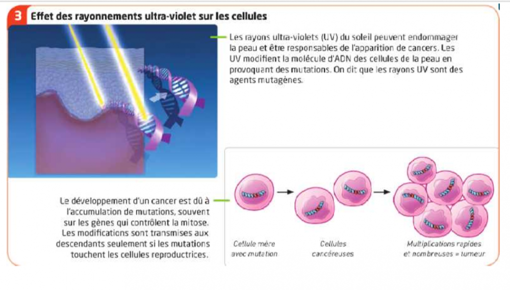 Annotation 2020-03-31 144615.png