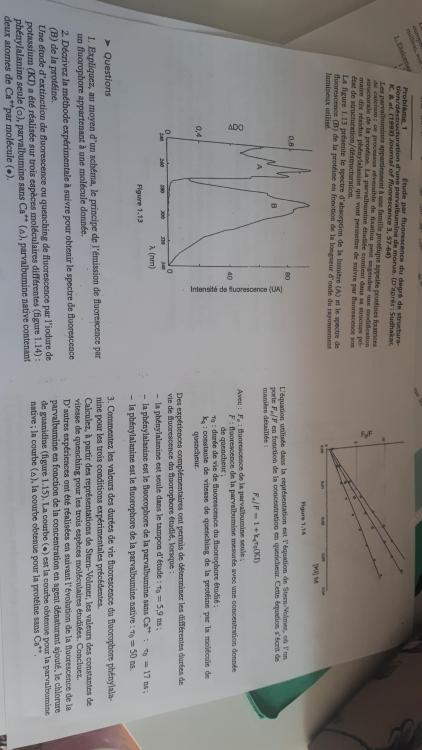 20200413_133841.jpg