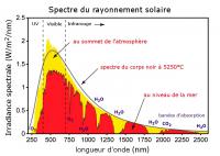 post-24224-0-48520000-1353172008_thumb.j