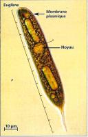 post-24224-0-83140100-1413121280_thumb.j