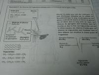 post-55005-0-18232200-1378908255_thumb.j