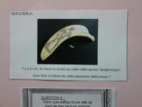 post-66294-0-46452000-1390930669_thumb.j