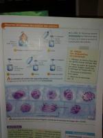 post-70352-0-11238500-1384713116_thumb.j