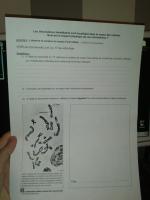 post-70352-0-28729500-1384713108_thumb.j