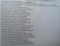 post-72057-0-52139500-1419272677_thumb.j