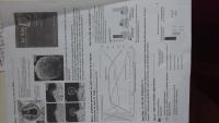 post-73908-0-29607300-1398248798_thumb.j